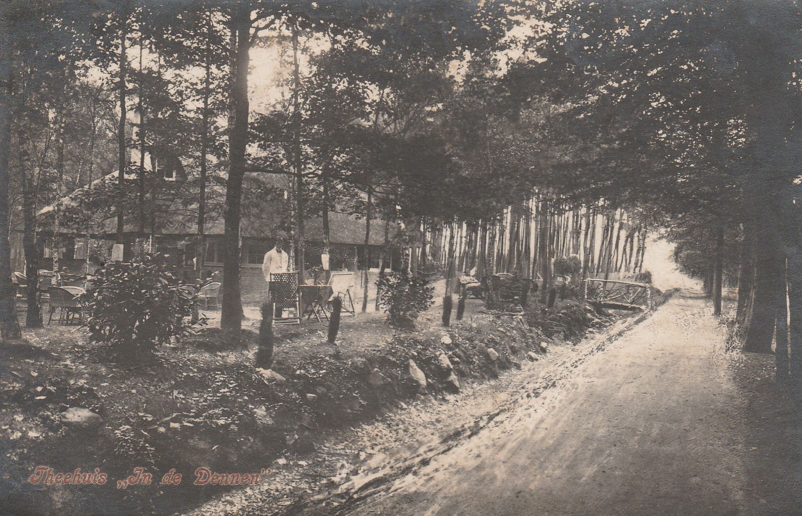 theehuis in de Dennen